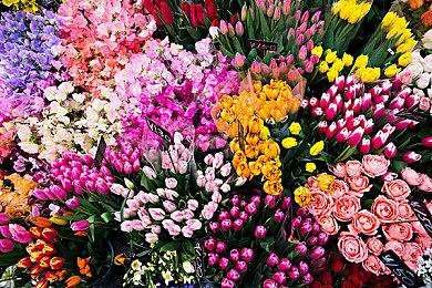 《第一后裔》终极沙恩皮肤宣传片 御姐帅气诱人